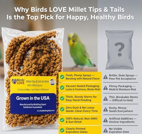 Birds LOVE® 1lb Millet Tips & Tails for Birds – Premium Spray Millet Treat, USA Grown – Natural & Healthy Bird Food for Parakeets, Cockatiels, Budgies, Lovebirds, Finches, Canaries & Parrots – 2 Pack