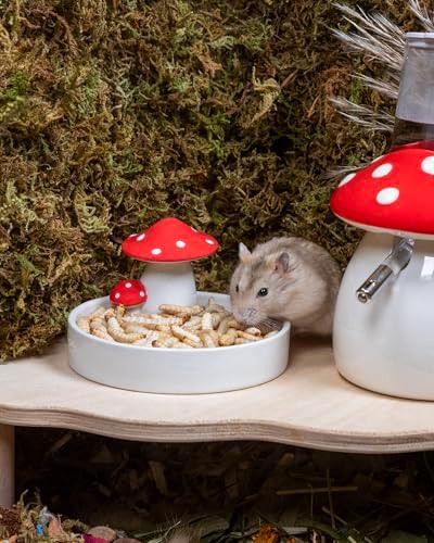 Niteangel Small Animal Snack & Treats - Freeze-Dried Worms & No Additive