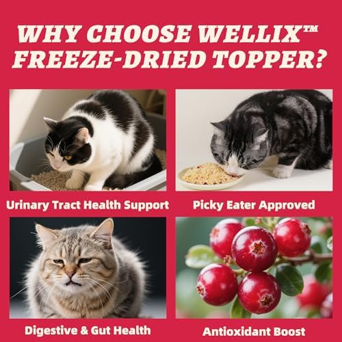 Wellix Freeze Dried Topper for Cats & Dogs, Cranberry Cat Treats, 7.05oz