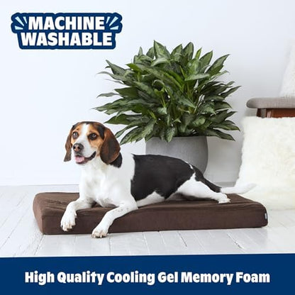 BarkBox Orthopedic Dog Bed - Large