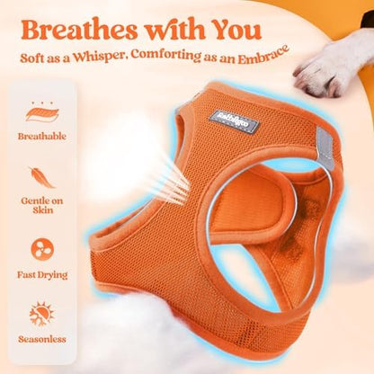 rabbitgoo Dog Harness Small Sized and Leash Set, Step-in Puppy Pet Vest