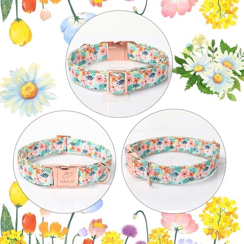 Floral Dog Collar - Cute Summer Flowers Dog Collars for Medium Dogs, Durable Adjustable Male Female Puppy Collar with Metal BuckleM