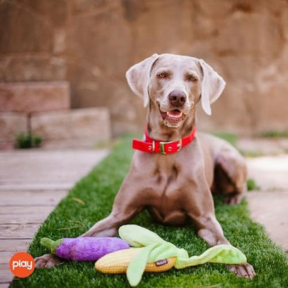 P.L.A.Y. Cute Plush Dog Toys - Vegetable Themed Durable Squeaker Crinkle Plush Chew Toy, Great for Puppies & Small, Medium, Large Dogs - Machine Washable, Recycled Materials (Farm Fresh Corn)