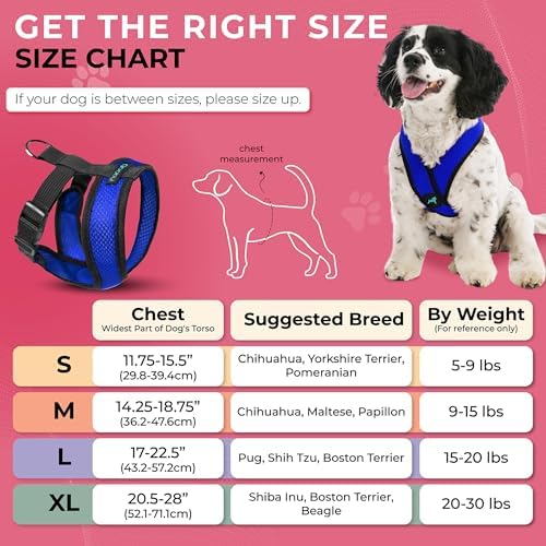 Gooby Comfort X Head-in Dog Harness, Choke-Free, Blue, Small