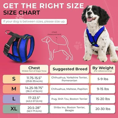 Gooby Comfort X Head-in Dog Harness, Choke-Free, Blue, Small