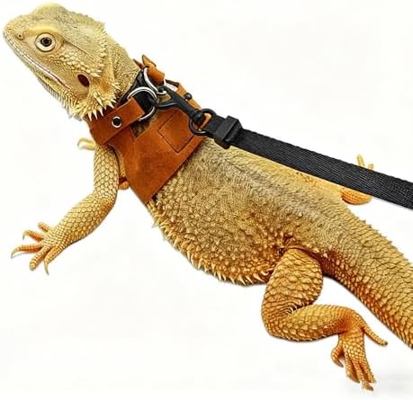 3 Pack Bearded Dragon Harness and Leash Set - Adjustable Soft Leather Vest with 6.89FT Retractable Lead, Escape-Proof Lizard Walking Harness for Reptiles, Squirrels & Small Pets (Brown)