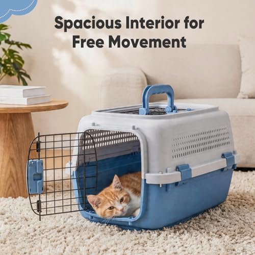 DUMOS 23" Hard-Sided Pet Carrier for Small Pets, 2 Door Cat Carrier, Blue