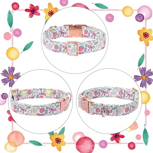 Cute Dog Collar, Spring Summer Pastel Dog Collars, Fruit Garden Dream Puppy Collar, Adjustable Heavy Duty Pet Collar for Small Medium Large Dogs with Metal Buckle L