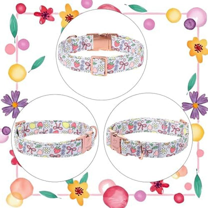 Cute Dog Collar, Spring Summer Pastel Dog Collars, Fruit Garden Dream Puppy Collar, Adjustable Heavy Duty Pet Collar for Small Medium Large Dogs with Metal Buckle L
