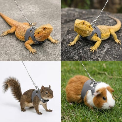 3 Pack Bearded Dragon Leash and Harness Set