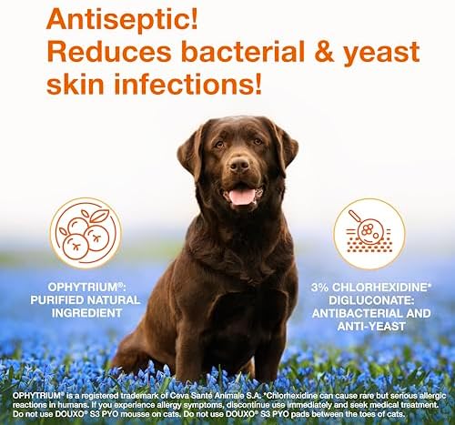 Douxo S3 PYO Medicated Dog Mousse - Bacterial & Yeast Infection Treatment