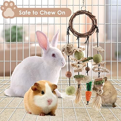 Bissap Bunny Chew Toy, Rabbits Cage Hanging Chew Toys and Treats Grapevine Wreaths Rattan Ring with Snacks for Guinea Pigs Chinchillas Hamsters Rats and Other Small Pets Teeth Grinding
