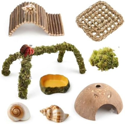 Hermit Crab Accessories – 8PCS Natural Hermit Crab Toys Climbing Bridge, Shells, Coconut Hideout, Moss and Plants for Hermit Crabs Habitat & Reptile Tank Decor