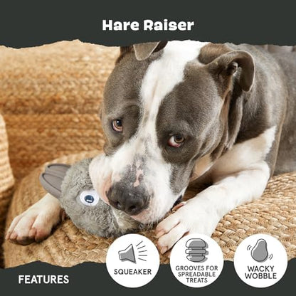 BarkBox Hare Raiser Super Chewer - 2-in-1 - Toy for Medium to Large Dogs