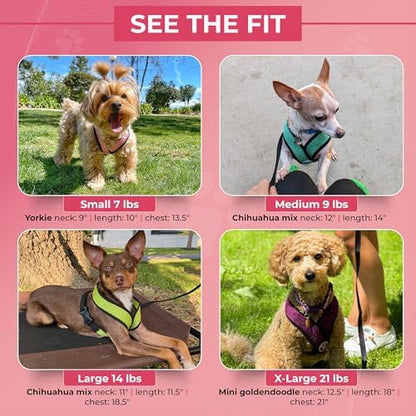 Gooby Comfort X Head-in Dog Harness, Choke-Free, Pink, Small
