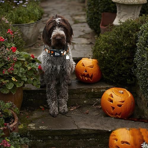 Halloween Fall Pumpkin Ghost Print Dog Collar for Small Dogs