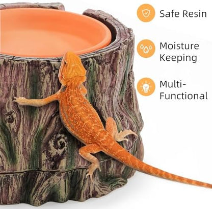 Reptile Hide Cave with Detachable Base, Humidity Dish