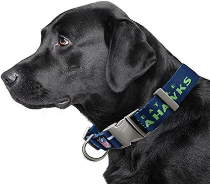 Littlearth NFL Detroit Lions Pet Premium Collar, Team Color, Small