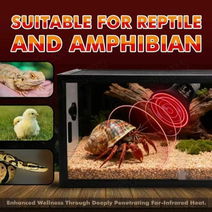 50W Non-Light Ceramic Heat Emitter (2-Pack 0.2inch-60mm) Reptile Heat Lamp for Terrariums, Brooders & Incubators. E26 for Turtle Lizard Bearded Dragon Snake Small Pets