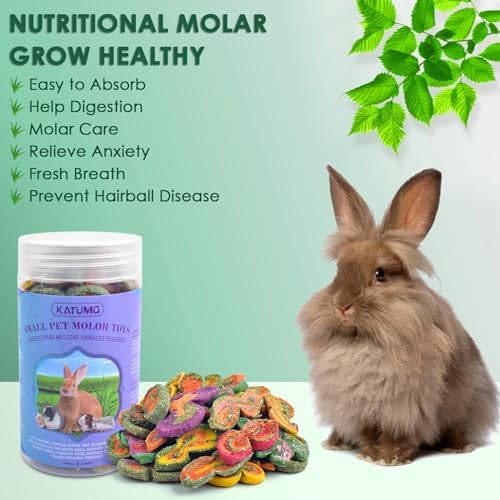 KATUMO Rabbit Chew Treats - 560g Mixed Natural Timothy Hay Pumpkin Carrot Beet Chew Toys for Rabbit Guinea Pig Hamster Bunny Chinchilla Gerbil Small Rodent Pets