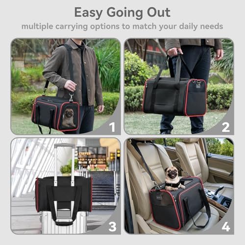 Petsfit Large Expandable Cat Carrier for Travel, Up to 18 lb