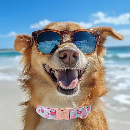 Adjustable Summer Dog Collar - Cute Pink Flamingo Dog Collars for Large Dogs, Durable Boy Girl Dogs Heavy Duty Metal Buckle Collar L