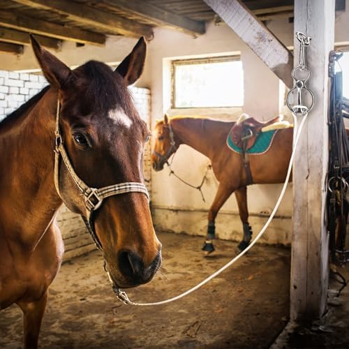 Cididu 3 Pack Horse Tie Ring, Tie Ring for Horses, 304 Stainless Steel Horse Training Accessories for Indoor and Outdoor Horse Trailers, Safe Durable Horse Tack and Supplies Training Equipment