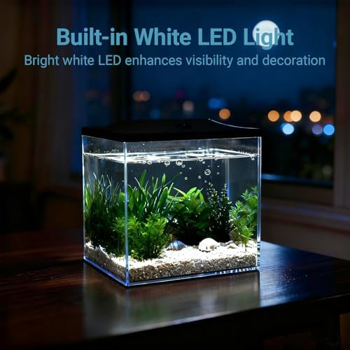 0.8-Gallon Cube Small Fish Tank, Shatterproof Plastic Fish Tank with LED Lighting, Temporary Fish Bowl for Fry, Isolation, Education & Decoration