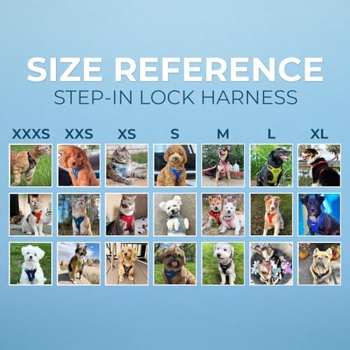 Best Pet Supplies Voyager Step-in Lock Pet Harness w Reflective Pet Leash Combo Set with Neoprene Handle 5ft - Supports Small, Medium and Large Breed Puppies/Cats - Red/Black Trim Set, L