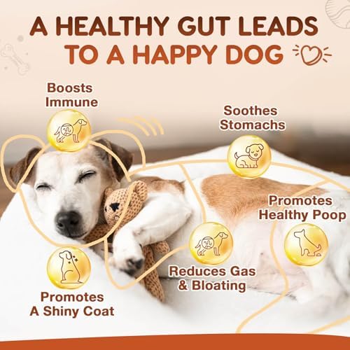 ZEBORA Probiotics for Dogs, Digestive & Itch Relief, 180 Soft Chews