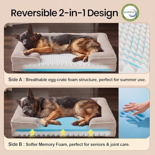 OhGeni Orthopedic Extra Large Dog Bed Couch, Memory Foam, 44-inch (Beige)