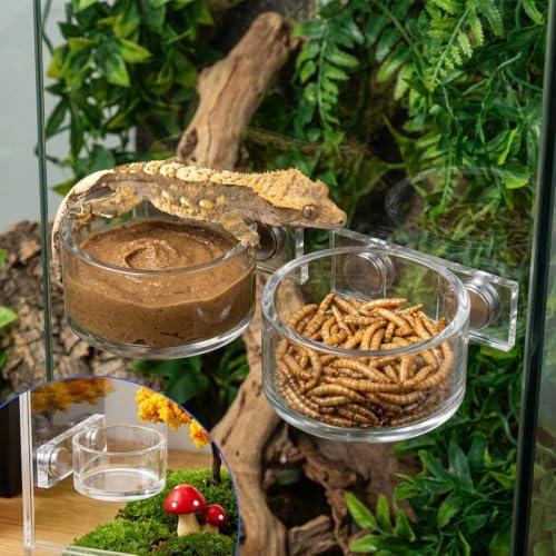 Jumping Spider Feeding Dish Set, Water Bowl with Tweezer