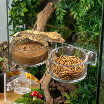 Jumping Spider Feeding Dish Set, Water Bowl with Tweezer