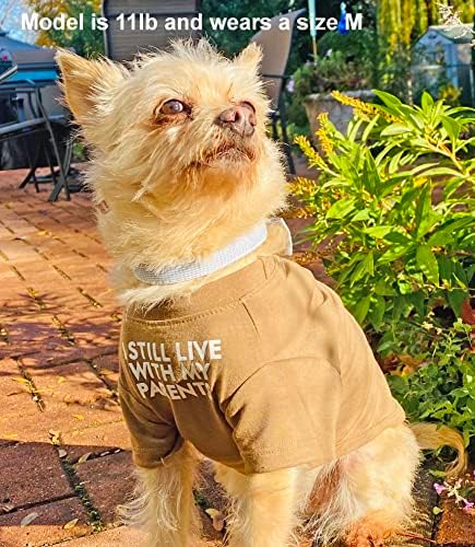 Cute Dog Clothes, T Shirt for Medium and Small Dogs Girl Boy,Puppy.Breathable Soft Dog Costume for Pet Dogs Cats, Pet Pullover Jumper, Cat Clothes (L-(10~17lb), Chest~18", Aqua)