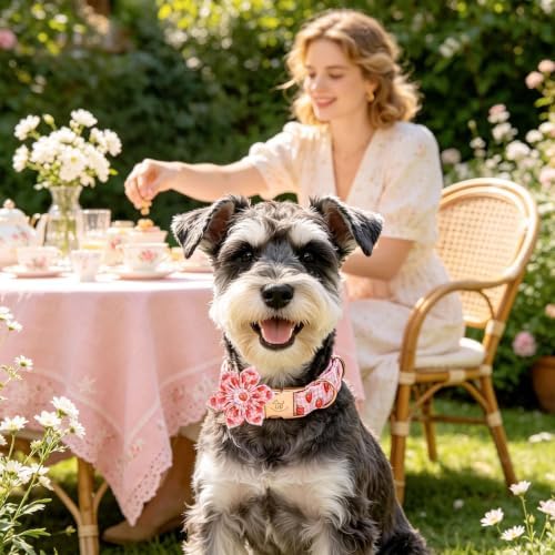 Elegant little tail Dog Collar with Flower, Pink Gingham Plaid with Strawberry Print Summer Girl Pet Collars Cute Puppy Collar Adjustable Collars for Small Medium Large Dogs, Summer Party, S