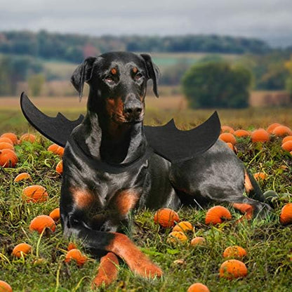 Rypet Dog Bat Costume for Large Dogs, Halloween Pet Costume Bat Wings, XL