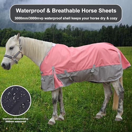 1200D Horse Blanket, 0g No-Fill Waterproof Turnout Rain Sheet