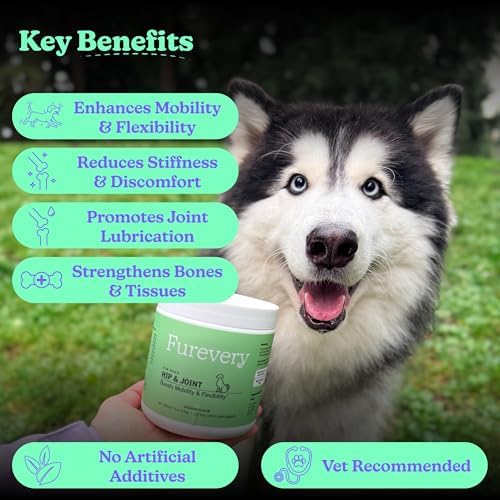Dog Hip & Joint Chews – Advanced Joint Support Supplement for Dogs, Chicken Flavor with Glucosamine, Chondroitin & MSM, Supports Mobility, Flexibility & Comfort, 120 Count