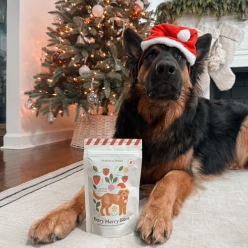 Berry Merry Organic Dog Treats – Vegan, Wheat-Free, Peanut Butter Heart Crunchy Cookies – Holiday Dog Treats, All-Natural & Baked in USA, Pumpkin, Peanut Butter, & Strawberry – 5oz (2-Pack)
