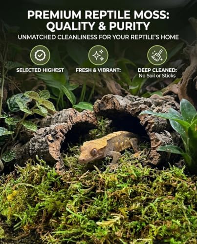 Sphagnum Moss for Reptiles & Plants, 3.4 OZ Terrarium Moss Bedding