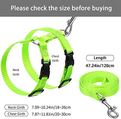 Outus 5 Pieces Adjustable Rabbit Harness and Leash Set, Fresh Color