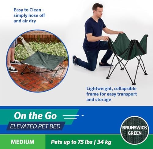 Coolaroo On-The-Go Elevated Dog Bed - Foldable Pop-Up Travel Dog Bed with Breathable, Moisture-Resistant Fabric, Carry Bag Included, Lightweight & Portable, Brunswick Green, Medium