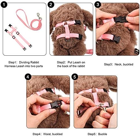 Outus 5 Pieces Adjustable Rabbit Harness and Leash Set, Fresh Color