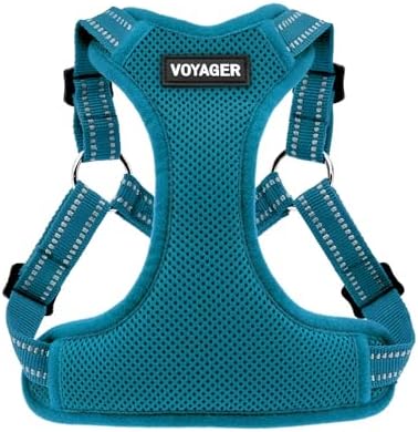 Voyager Step-in Flex Adjustable Dog Harness - Turquoise, Small