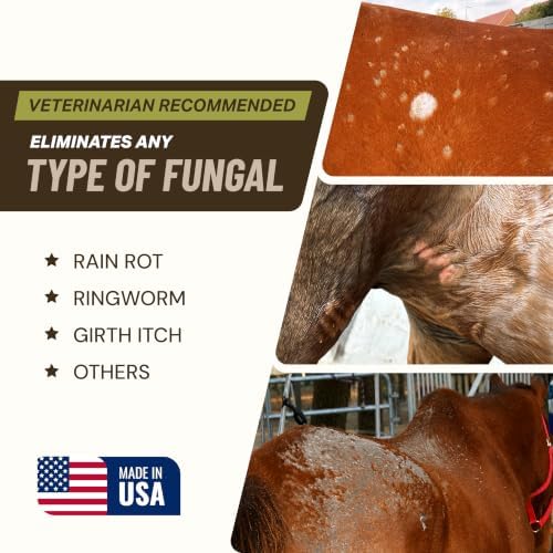 Antifungal Shampoo for Horse Antibacterial Formula Clinical Care Antiseptic