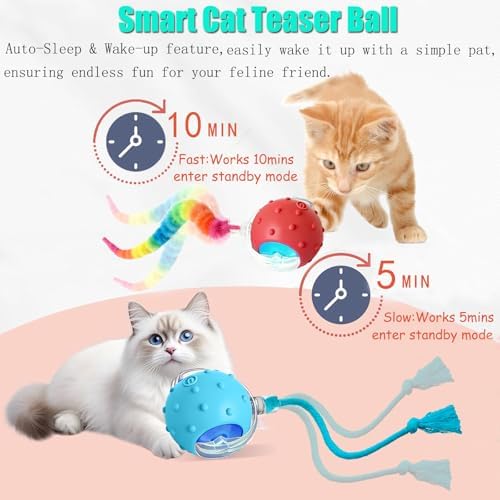 2PCS Interactive Cat Toys for Indoor Cats with 6 Tails, Automatic Cat Toy