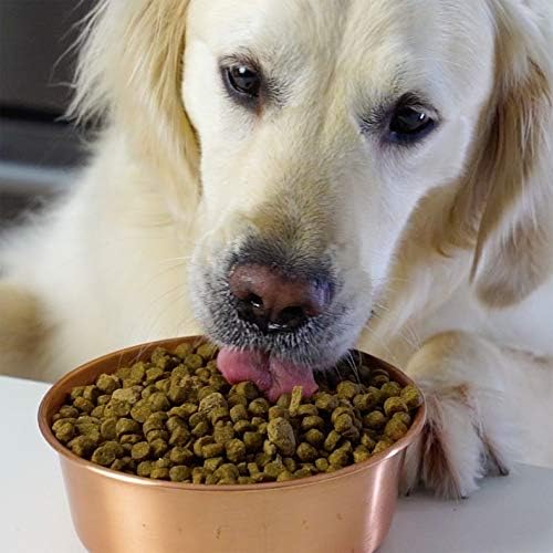 Open Farm Grain-Free Homestead Turkey and Chicken Dog Food 4.5 Pounds