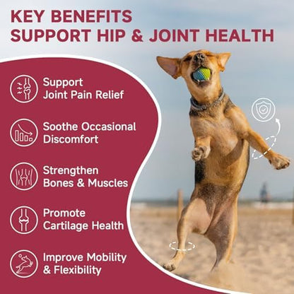ZEBORA Hip & Joint Glucosamine Supplement for Dogs, 180 Freeze-Dried Chews