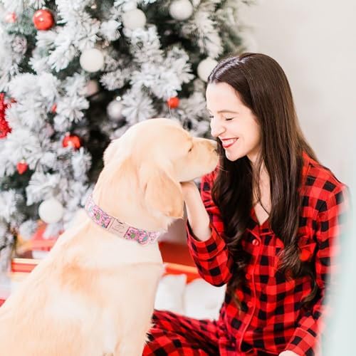Christmas Dog Collar for Large Dogs - Design Cute Winter Holiday Collars Adjustable Santa Claus Pet Metal Buckle Collar for Puppy Girl Boy Female Dogs L