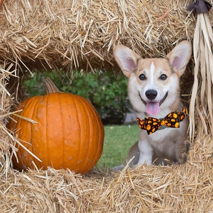 Elegant little tail Fall Dog Collar, Halloween Pet Collars with Bow Cute Pumpkin Print Puppy Collar Female or Male Cotton Adjustable Collars for Small Medium Large Dogs